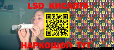 индика Кулебаки