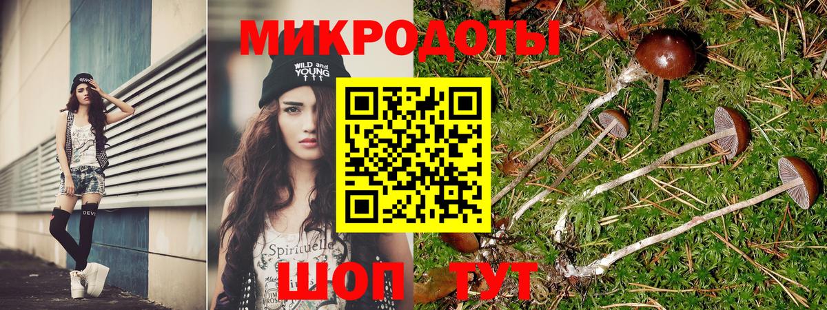 Галлюциногенные грибы мухоморы Звенигород