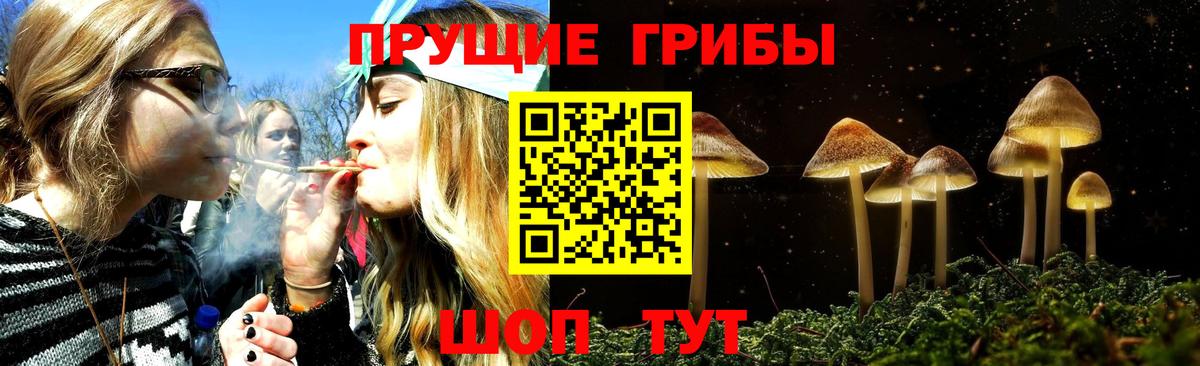 Псилоцибиновые грибы мицелий  Вход с VPN  Звенигород 